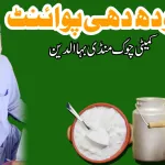 منڈی بہاؤالدین معیار اور بھروسے کا دوسرا نام ’ظفر دودھ دہی پوائنٹ‘ شہریوں کی پہلی پسند بن گیا